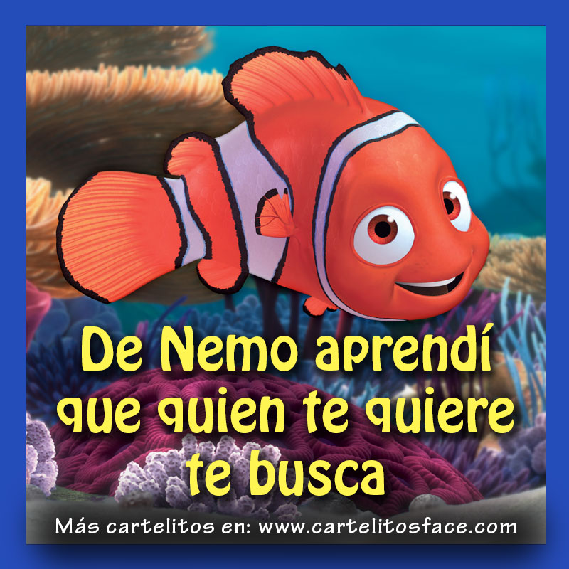 De Nemo aprendí