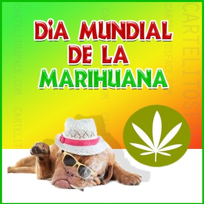 Día mundial de la marihuana