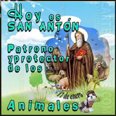 Hoy es San Antón