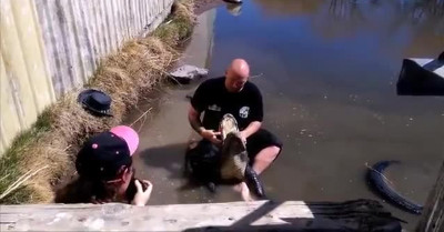 Un cocodrilo muerde la mano de un reportero