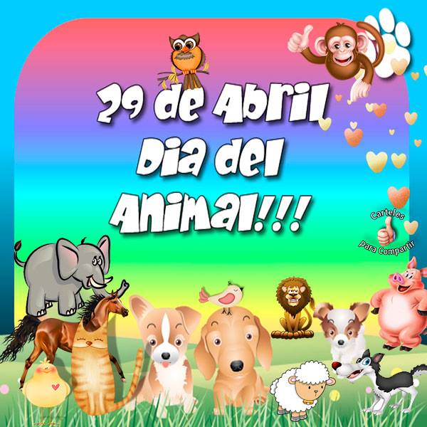 Día internacional del animal